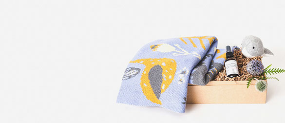 Bundle Up Baby Gift Box