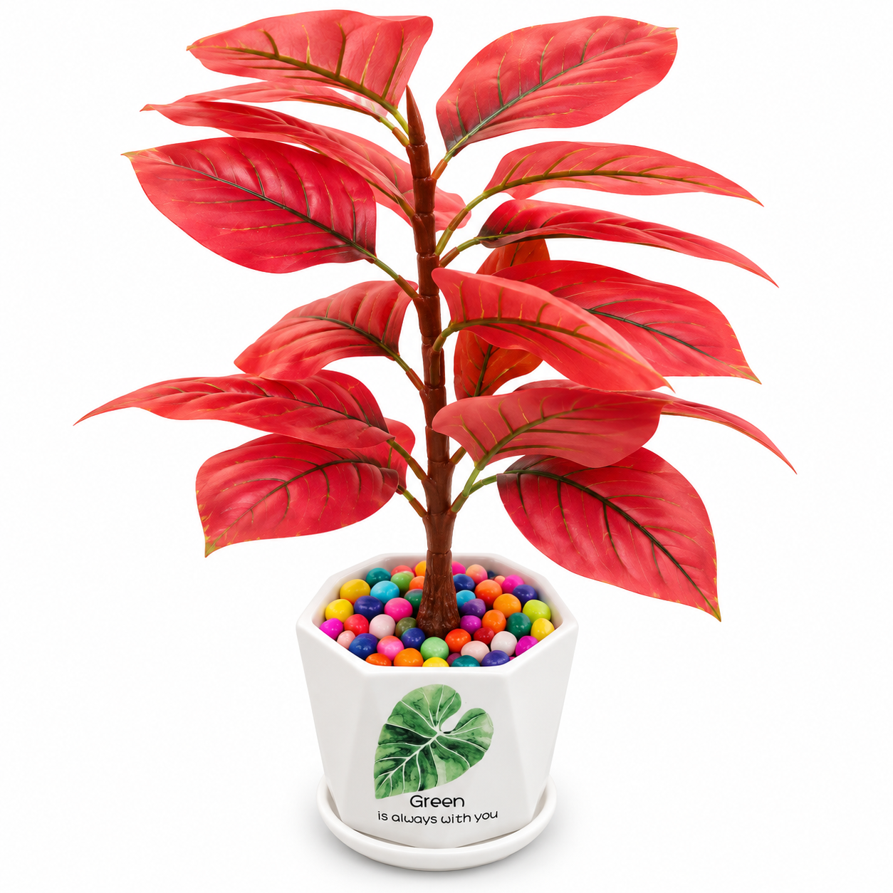 BOTAVEIL Red Leaf Plant – White Pot