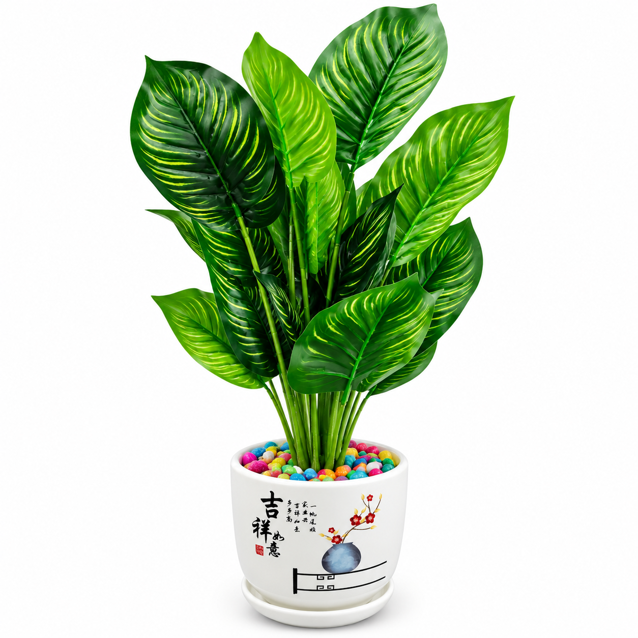 BOTAVEIL Green Variegated Plant