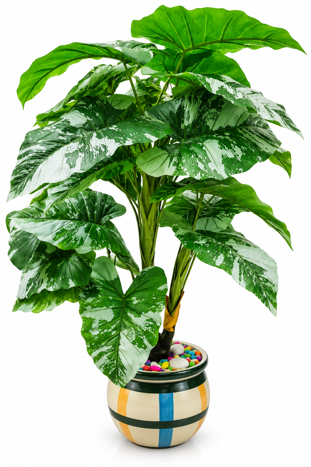 BOTAVEIL Artificial Variegated Broad Leaf Plant with Decorative Pot and Colorful Pebbles