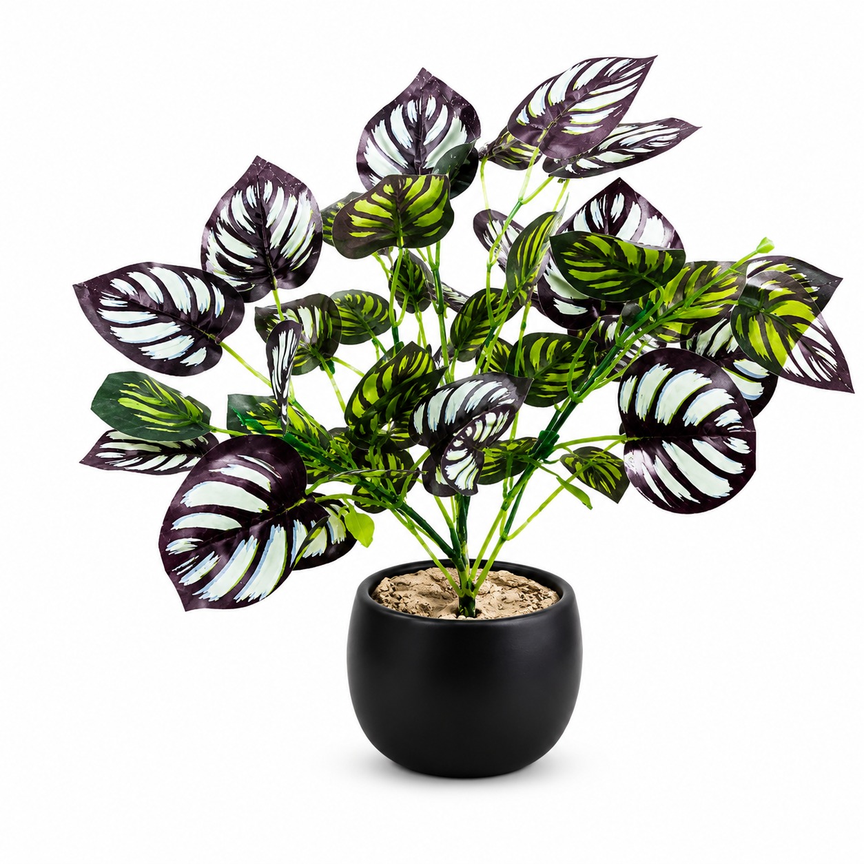 BOTAVEIL Artificial Calathea Plant – Black Pot