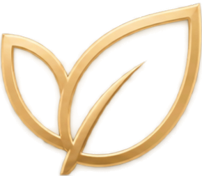 botaveil-newsletter-leaf