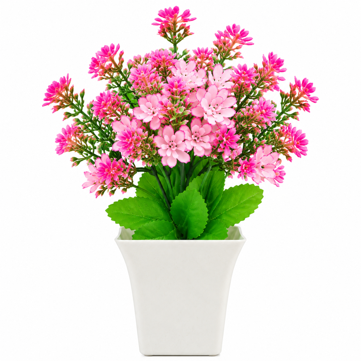 Botaveil Light Pink Daisy Pink Filler